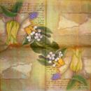 051 Tulips - 3-ply (yellow) - Ti-Flair